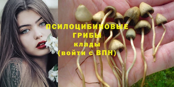 сатива Алзамай